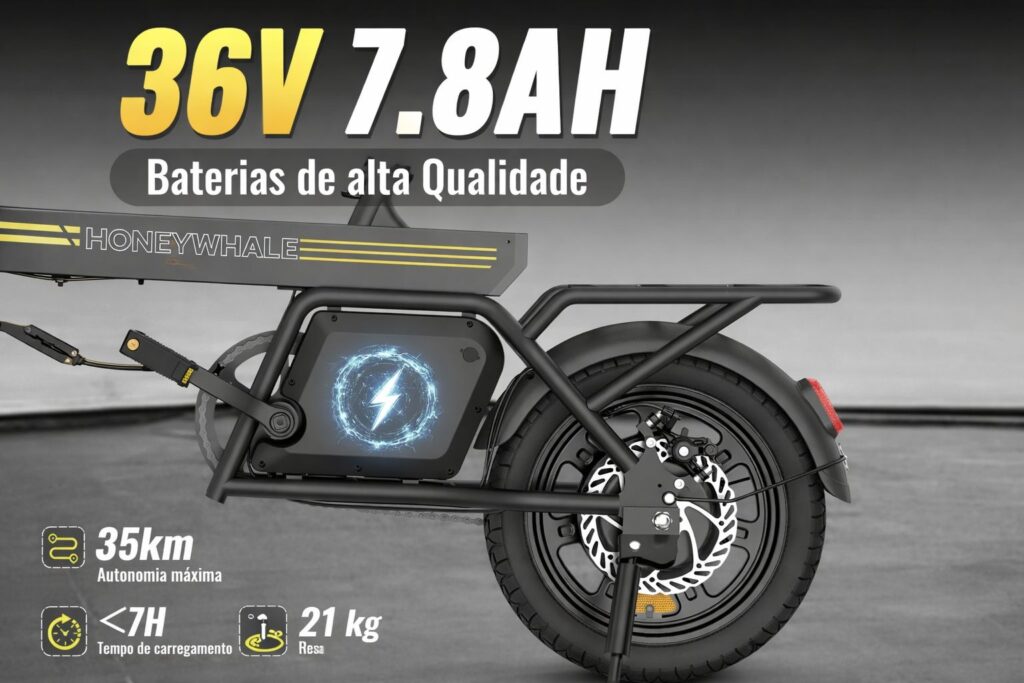 Bicicleta Honeywhale B20